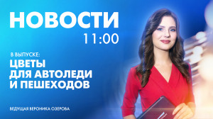 Новости Петербурга к 11:00