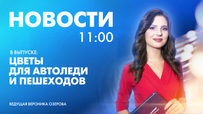 Новости Петербурга к 11:00