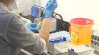 Ученые создали лекарство, которое продлевает жизнь на 20%