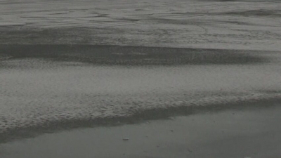 На водоёмах Ленобласти уже появился тонкий лёд: спасатели просят не выходит на него