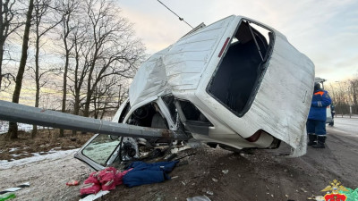 Под Тосно ребенок погиб в ДТП с иномаркой и ЛЭП