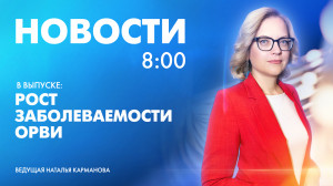Новости Петербурга к 8:00