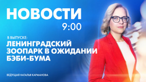 Новости Петербурга к 9:00