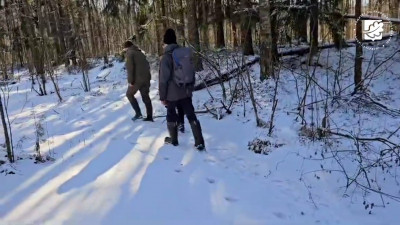 Зимнюю перепись животных провели в заказнике «Северное побережье Невской губы»