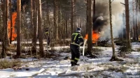 В Курортном районе для спасателей МЧС провели масштабные учения по тушению пожара в лесу