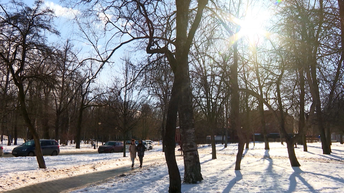 Световой день в Петербурге увеличивается: что ждать от погоды 9 февраля - tvspb.ru