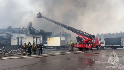 Пожар в Конной Лахте локализовали