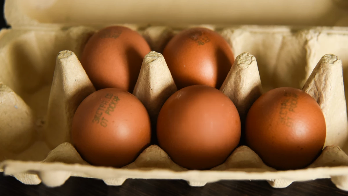 В Норвегии лучшему игроку матча вручили яйца - tvspb.ru