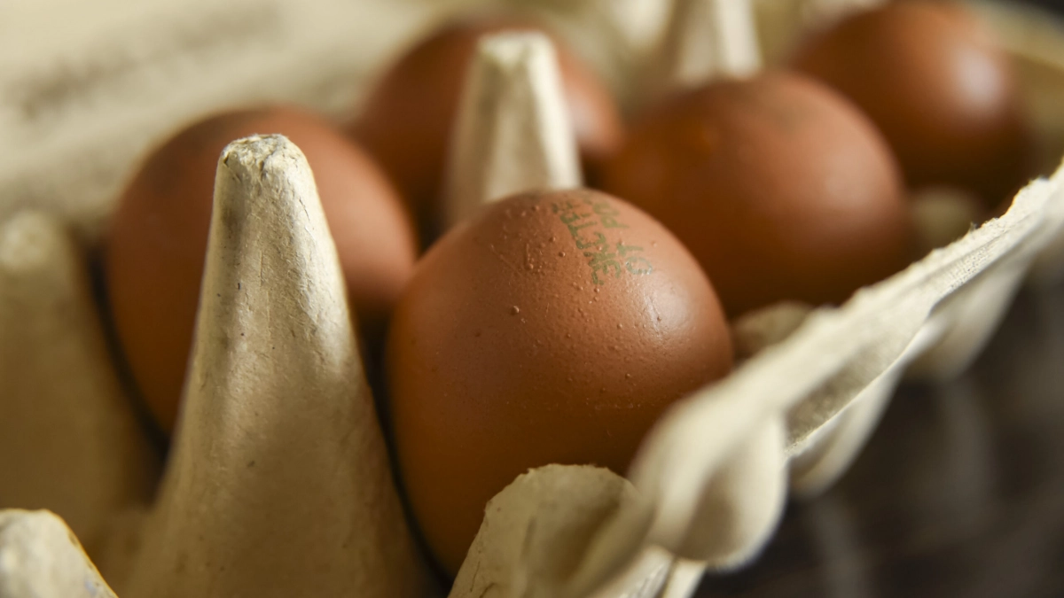 В Петербурге мужчина получил срок 7 лет после кражи 14 упаковок яиц - tvspb.ru