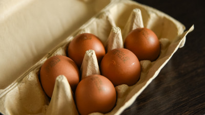 Эксперт рассказала, когда в России стабилизируются цены на яйца