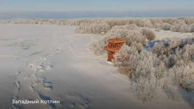 Где в Петербурге можно увидеть красоты дикой природы с редкими растениями и животными