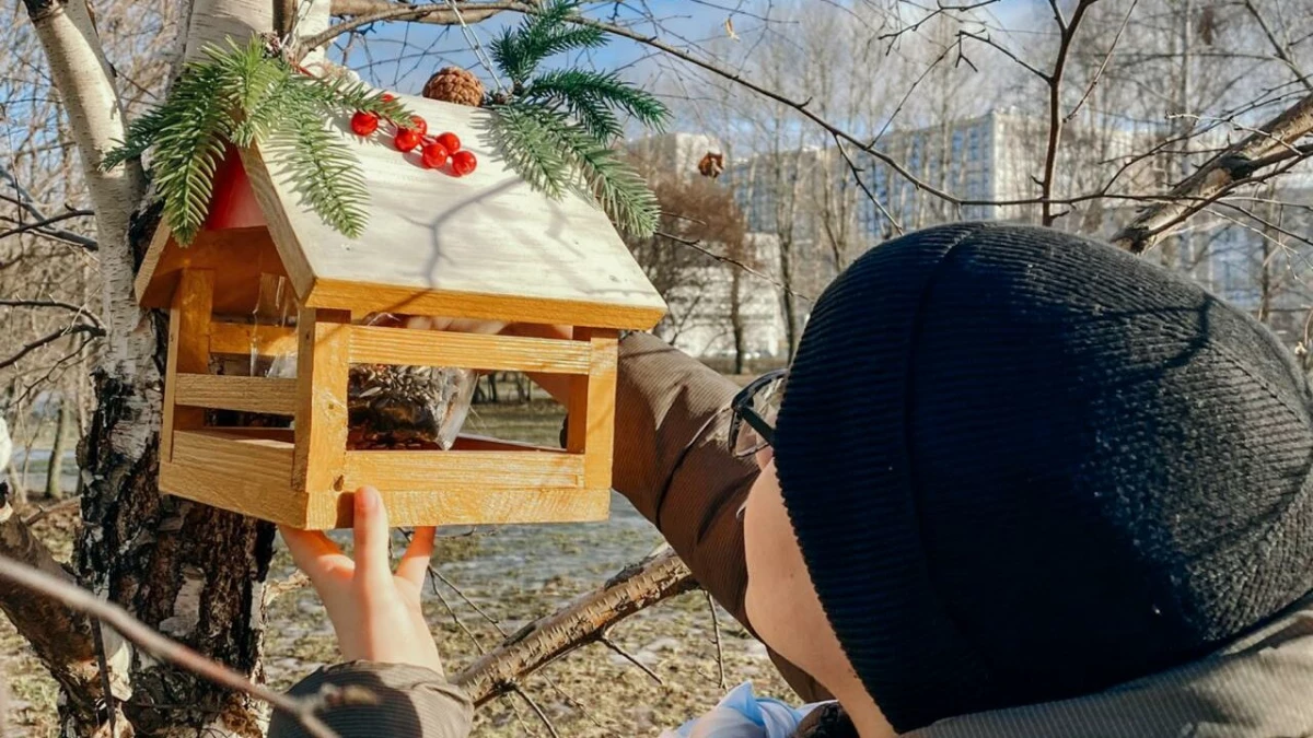 В Петербурге «Орлята России» из 508 школы развесили кормушки для птиц - tvspb.ru