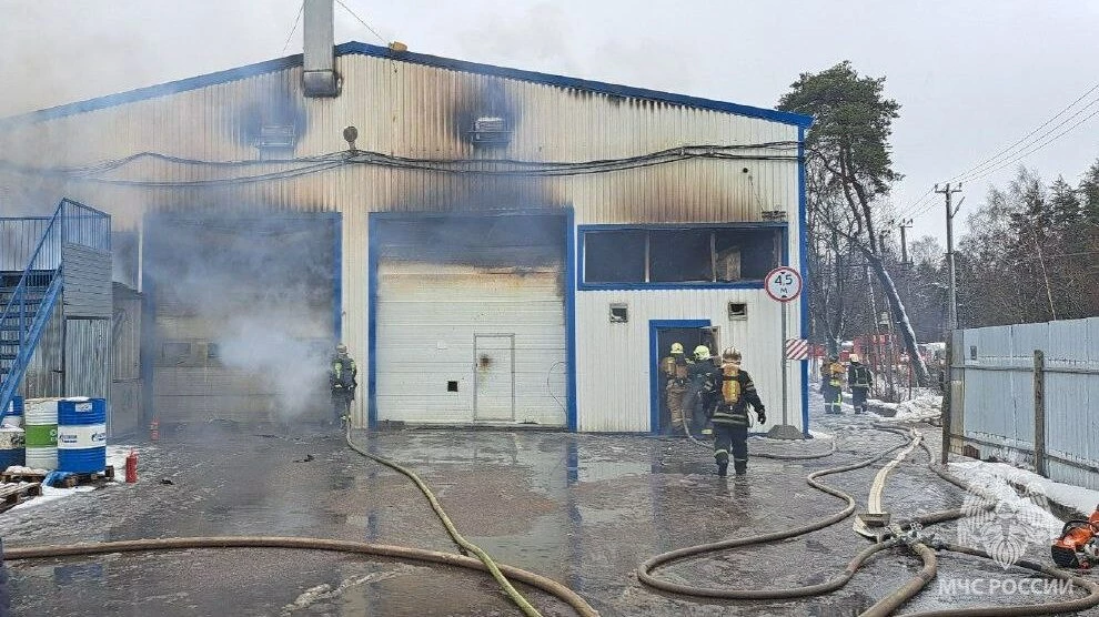 В Конной Лахте загорелось производственное здание: полыхают 3 500 «квадратов» - tvspb.ru