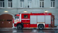 Из горящей квартиры на улице Джона Рида спасли женщину, собаку и кошку