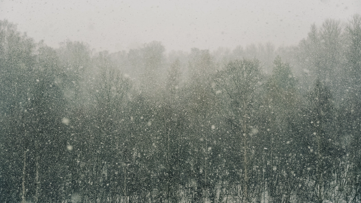 Синоптик Вильфанд: 80% территории России покрыто снегом - tvspb.ru