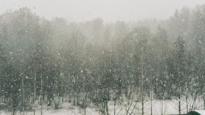 Мокрый снег, град и ураган в четырёх регионах России: погиб ребёнок, более 76 тыс. человек остались без света