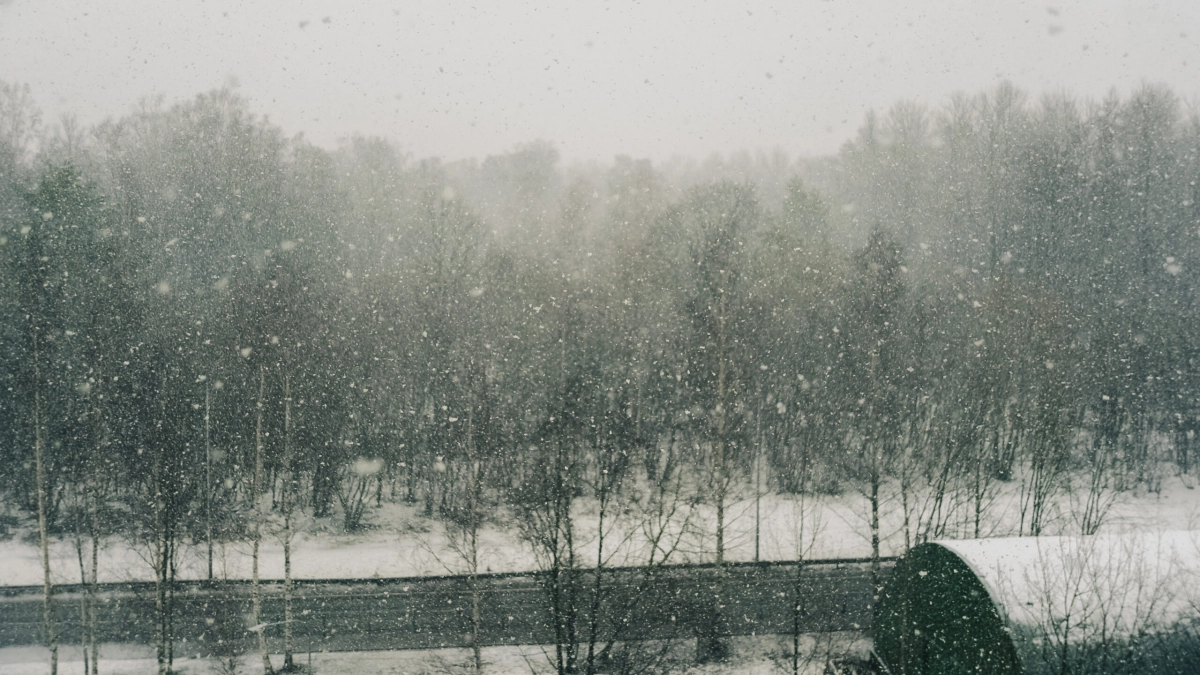 В Петербурге ждут до 10 см снега: коммунальщики работают в усиленном режиме - tvspb.ru