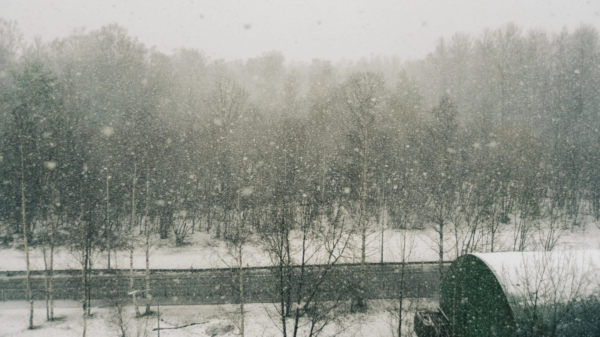 «Это не сахарная пудра»: какие болезни можно «съесть» вместе со снежинками и сосульками - tvspb.ru