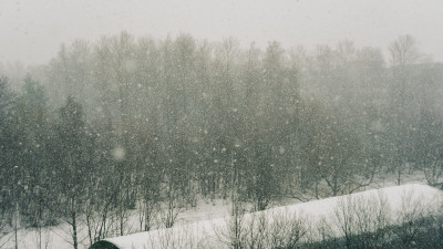26 апреля в Ленобласти пройдет снег