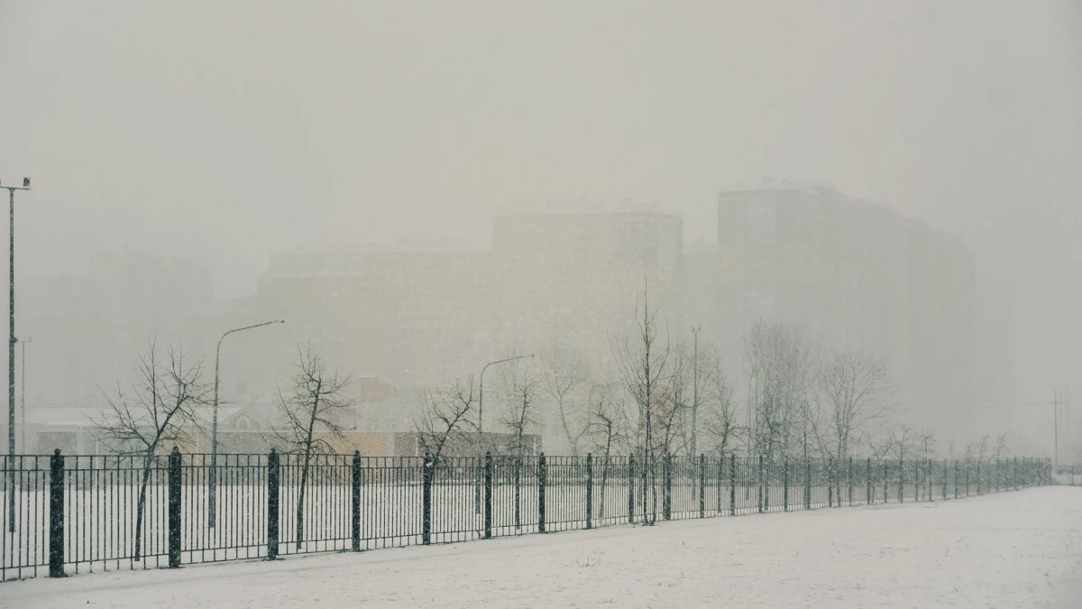 Переменная облачность, небольшой снег, слабый туман: какая погода ждет Ленобласть 6 января - tvspb.ru