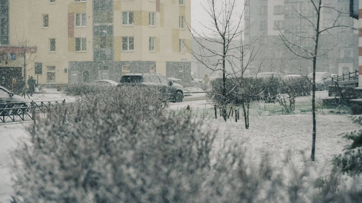 В Петербурге 29 декабря выпадет снег - tvspb.ru