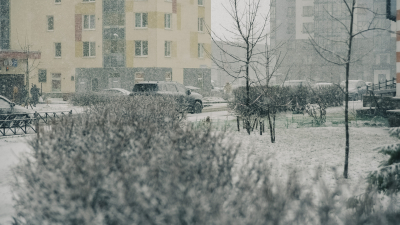 Петербуржцев 2 февраля ждут снег и -10 градусов