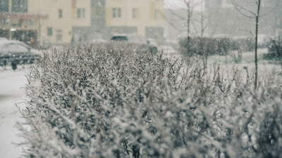 В Петербурге выпало пять сантиметров снега, но он скоро растает