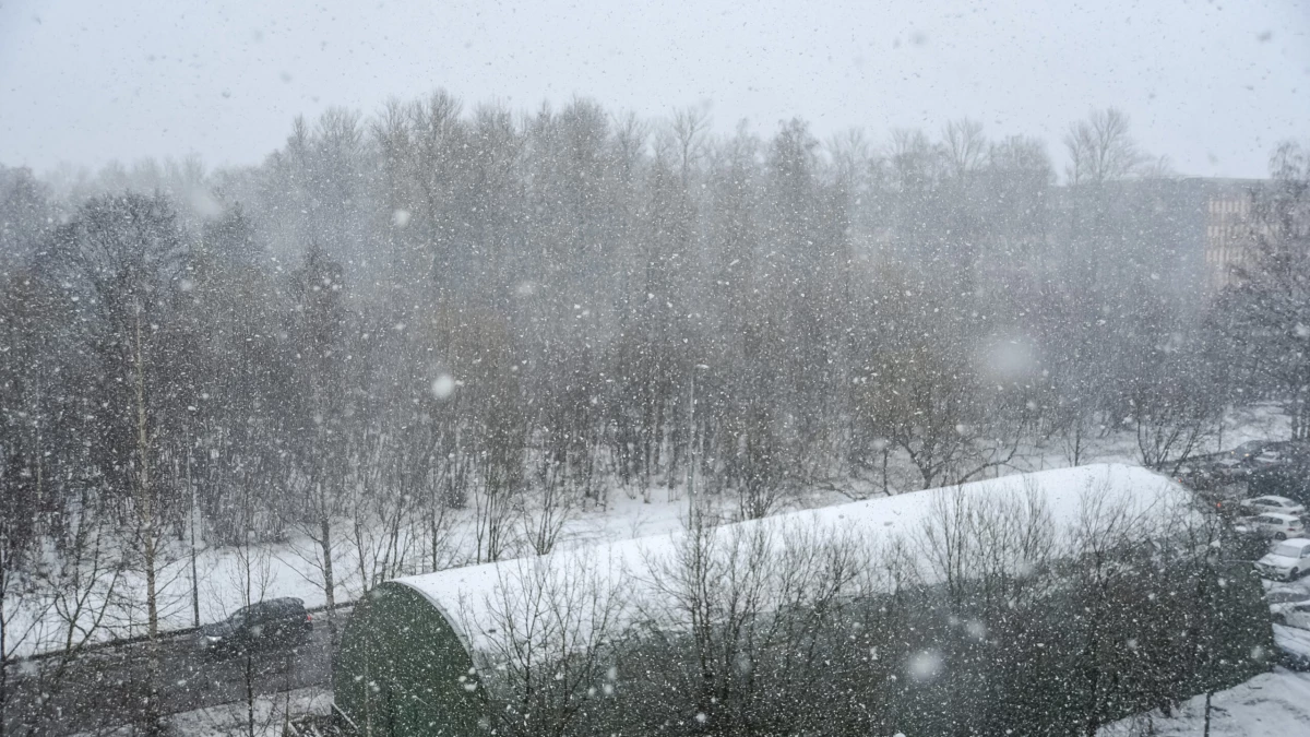 Жителей Ленобласти предупредили о снеге, дожде и гололёде 9 декабря - tvspb.ru
