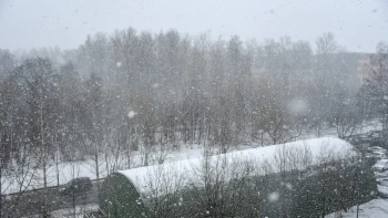 Жителей Ленобласти предупредили о снеге, дожде и гололёде 9 декабря