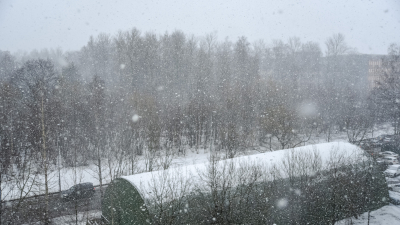 Жителей Ленобласти предупредили о снеге, дожде и гололёде 9 декабря