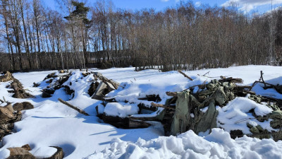 Суд обязал организаторов свалки в Стеклянном ликвидировать отходы