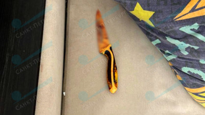 Слышавший голоса петербуржец убил мать на Славянской улице