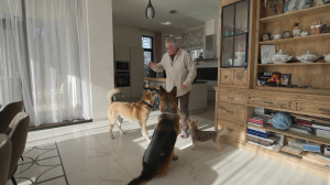 «Кому нужная такая собака»: добрые истории большой и дружной стаи в семье Андрея Урганта