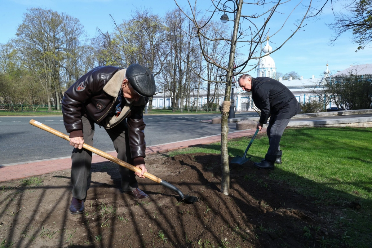 Александр Беглов: В саду Смольного посадили дубы в память о сотрудниках органов власти, погибших в годы Великой Отечественной войны, и в честь участников СВО - tvspb.ru