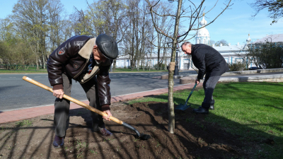 Александр Беглов: В саду Смольного посадили дубы в память о сотрудниках органов власти, погибших в годы Великой Отечественной войны, и в честь участников СВО