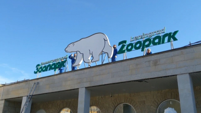 Засияла новыми красками: в Ленинградском зоопарке заменили вывеску