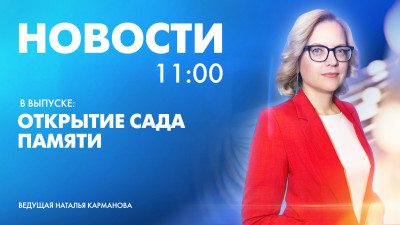 Новости Петербурга к 11:00
