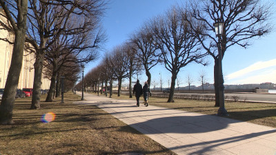 Синоптик Колесов: 13 ноября воздух в Петербурге прогреется до +9 градусов