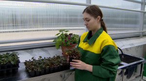 Санкт-Петербургский садово-архитектурный колледж