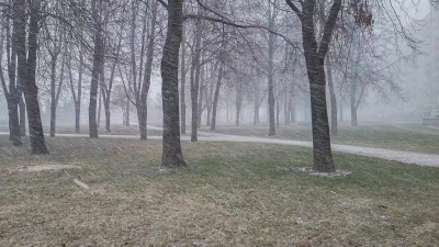 Утро пятого апреля для жителей Петербурга началось со снегопада