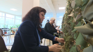 Центр социального обслуживания Кировского района