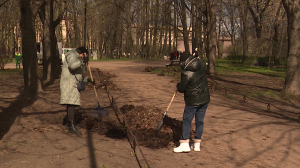 Как прошел субботник в Кировском районе