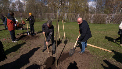 В Петербурге высадили именные деревья в память о морских пехотинцах, погибших в СВО