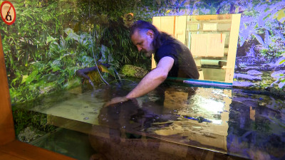 День амфибий отметили в Ленинградском зоопарке