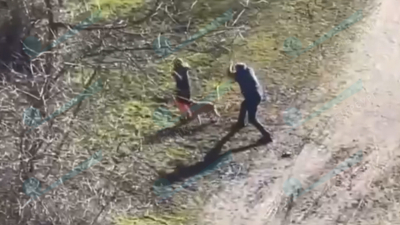 Задержан владелец собаки, которая погрызла людей на улице Лёни Голикова