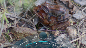 Дайджест 99. Главные события уходящей недели