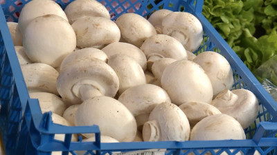 Нутрициолог развенчала популярный миф о шампиньонах