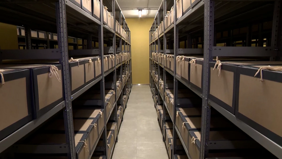 Петербургские архивы принимают документы по истории спецоперации - tvspb.ru