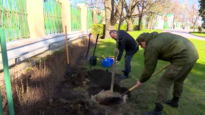 В саду Смольного Александр Беглов посадил дуб вместе с ветераном СВО Иваном Есиповым