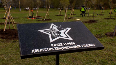 Петербуржцы выбрали варианты названия сквера за Пискарёвским мемориалом